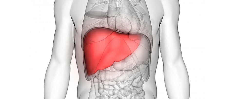 liver transplant treatment